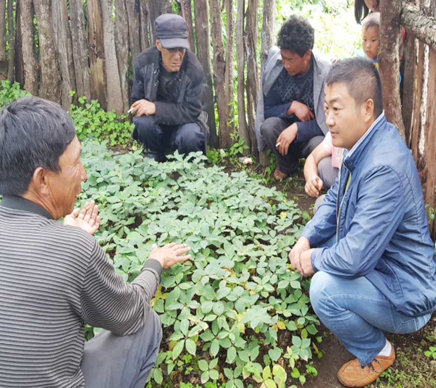 雲南(nán)寶田農業總經理和種植戶交流